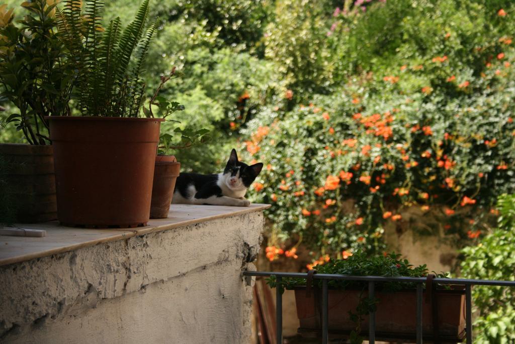 B&B Ingiropernapoli 외부 사진